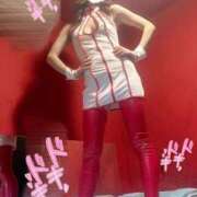 ヒメ日記 2025/07/10 15:15 投稿 ユキナ バニーコレクション新潟店