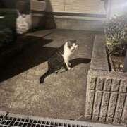 ヒメ日記 2024/12/13 23:02 投稿 かんな 池袋西口でSUGEEE求められる俺のカラダ