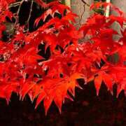 ヒメ日記 2024/12/21 17:25 投稿 かんな 池袋西口でSUGEEE求められる俺のカラダ