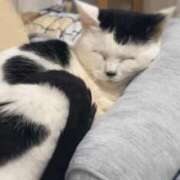 ヒメ日記 2025/01/10 23:12 投稿 かんな 池袋西口でSUGEEE求められる俺のカラダ