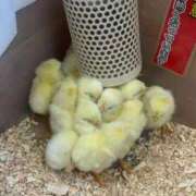 ヒメ日記 2025/01/26 20:04 投稿 かんな 池袋西口でSUGEEE求められる俺のカラダ