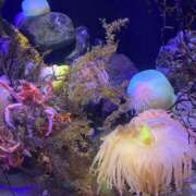 ヒメ日記 2025/02/26 20:03 投稿 かんな 池袋西口でSUGEEE求められる俺のカラダ