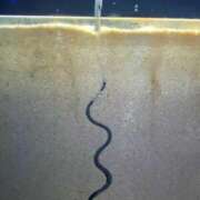 ヒメ日記 2025/03/07 17:00 投稿 かんな 池袋西口でSUGEEE求められる俺のカラダ