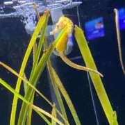 ヒメ日記 2025/03/14 17:00 投稿 かんな 池袋西口でSUGEEE求められる俺のカラダ