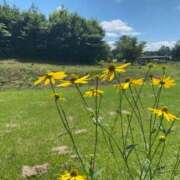 ヒメ日記 2025/03/19 17:45 投稿 かんな 池袋西口でSUGEEE求められる俺のカラダ