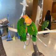 ヒメ日記 2025/04/03 21:25 投稿 かんな 池袋西口でSUGEEE求められる俺のカラダ