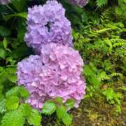 ヒメ日記 2025/04/05 21:31 投稿 かんな 池袋西口でSUGEEE求められる俺のカラダ