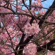 ヒメ日記 2025/04/10 17:00 投稿 かんな 池袋西口でSUGEEE求められる俺のカラダ