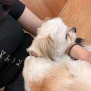 ヒメ日記 2025/04/12 15:00 投稿 かんな 池袋西口でSUGEEE求められる俺のカラダ