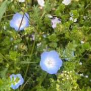 ヒメ日記 2025/05/05 22:02 投稿 かんな 池袋西口でSUGEEE求められる俺のカラダ