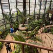 ヒメ日記 2025/05/13 17:00 投稿 かんな 池袋西口でSUGEEE求められる俺のカラダ