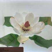 ヒメ日記 2025/06/04 22:30 投稿 かんな 池袋西口でSUGEEE求められる俺のカラダ