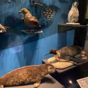 ヒメ日記 2025/06/05 17:00 投稿 かんな 池袋西口でSUGEEE求められる俺のカラダ