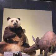 ヒメ日記 2025/06/06 17:00 投稿 かんな 池袋西口でSUGEEE求められる俺のカラダ