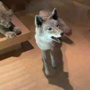 ヒメ日記 2025/06/08 15:00 投稿 かんな 池袋西口でSUGEEE求められる俺のカラダ