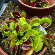 ヒメ日記 2025/06/10 21:45 投稿 かんな 池袋西口でSUGEEE求められる俺のカラダ