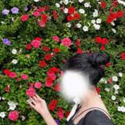 ヒメ日記 2025/06/22 15:00 投稿 かんな 池袋西口でSUGEEE求められる俺のカラダ