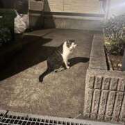 ヒメ日記 2025/06/25 17:00 投稿 かんな 池袋西口でSUGEEE求められる俺のカラダ