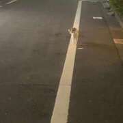 ヒメ日記 2025/06/26 20:01 投稿 かんな 池袋西口でSUGEEE求められる俺のカラダ