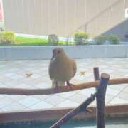 ヒメ日記 2025/06/27 19:15 投稿 かんな 池袋西口でSUGEEE求められる俺のカラダ