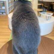 かんな 退勤しました😌 池袋西口でSUGEEE求められる俺のカラダ