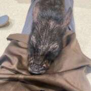 かんな 次回は😌 池袋西口でSUGEEE求められる俺のカラダ