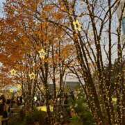 ヒメ日記 2024/12/12 23:16 投稿 ゆら 出会い系人妻ネットワーク さいたま～大宮編