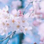 ヒメ日記 2025/03/31 23:29 投稿 ゆら 出会い系人妻ネットワーク さいたま～大宮編