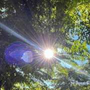 ヒメ日記 2025/06/05 08:55 投稿 ゆら 出会い系人妻ネットワーク さいたま～大宮編