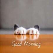 ヒメ日記 2025/09/19 07:40 投稿 ゆら 出会い系人妻ネットワーク さいたま～大宮編