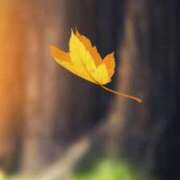 ヒメ日記 2025/10/08 09:01 投稿 ゆら 出会い系人妻ネットワーク さいたま～大宮編