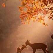 ヒメ日記 2025/10/09 07:43 投稿 ゆら 出会い系人妻ネットワーク さいたま～大宮編