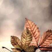 ヒメ日記 2025/10/18 06:57 投稿 ゆら 出会い系人妻ネットワーク さいたま～大宮編