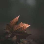 ヒメ日記 2025/10/21 09:10 投稿 ゆら 出会い系人妻ネットワーク さいたま～大宮編