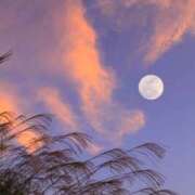 ヒメ日記 2025/10/22 22:45 投稿 ゆら 出会い系人妻ネットワーク さいたま～大宮編