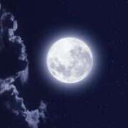 ヒメ日記 2025/12/05 20:42 投稿 ゆら 出会い系人妻ネットワーク さいたま～大宮編