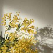 ヒメ日記 2026/03/08 08:46 投稿 ゆら 出会い系人妻ネットワーク さいたま～大宮編