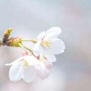 ヒメ日記 2026/03/30 21:01 投稿 ゆら 出会い系人妻ネットワーク さいたま～大宮編