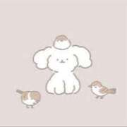 ヒメ日記 2025/04/12 20:32 投稿 ゆら 出会い系人妻ネットワーク 春日部〜岩槻編