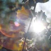 ヒメ日記 2025/04/22 09:03 投稿 ゆら 出会い系人妻ネットワーク 春日部〜岩槻編