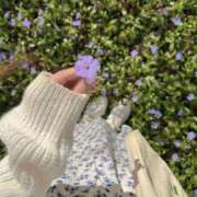 ヒメ日記 2025/05/29 08:48 投稿 ゆら 出会い系人妻ネットワーク 春日部〜岩槻編