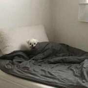 ヒメ日記 2025/07/26 09:24 投稿 ゆら 出会い系人妻ネットワーク 春日部〜岩槻編