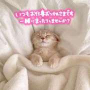 ヒメ日記 2025/08/12 08:20 投稿 ゆら 出会い系人妻ネットワーク 春日部〜岩槻編