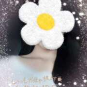 ヒメ日記 2025/09/18 08:12 投稿 ゆら 出会い系人妻ネットワーク 春日部〜岩槻編