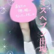 ヒメ日記 2025/09/30 07:45 投稿 ゆら 出会い系人妻ネットワーク 春日部〜岩槻編