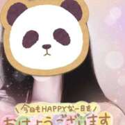 ヒメ日記 2025/11/14 06:55 投稿 ゆら 出会い系人妻ネットワーク 春日部〜岩槻編