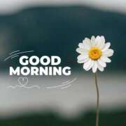 ヒメ日記 2025/11/22 07:14 投稿 ゆら 出会い系人妻ネットワーク 春日部〜岩槻編