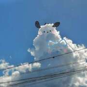 ヒメ日記 2026/01/29 08:45 投稿 ゆら 出会い系人妻ネットワーク 春日部〜岩槻編