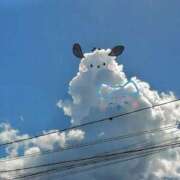 ヒメ日記 2026/01/29 09:04 投稿 ゆら 出会い系人妻ネットワーク 春日部〜岩槻編