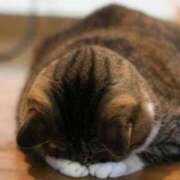 ヒメ日記 2025/06/15 13:58 投稿 いちか 熟女家 十三店